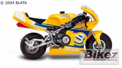 2007 blata 2.5 photo
